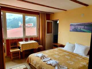Мотели Motel Sarnitsa Сырница Двухместный номер Делюкс с 1 кроватью и дополнительной кроватью-2