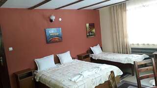 Мотели Motel Sarnitsa Сырница Двухместный номер Делюкс с 1 кроватью или 2 отдельными кроватями-1